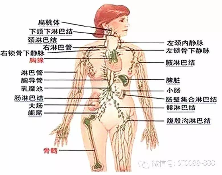 圖片關(guān)鍵詞