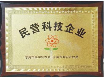 民营科技企业