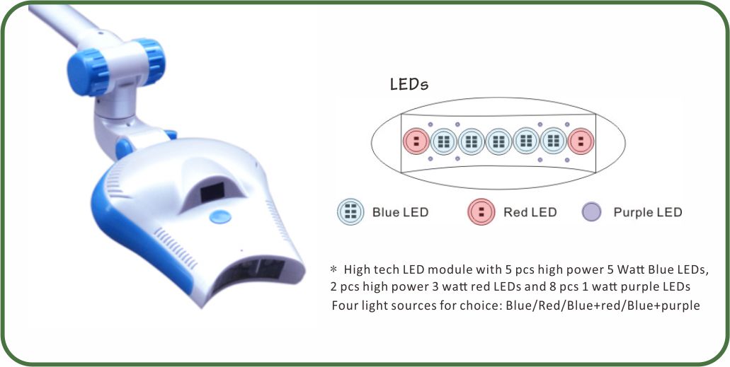 LEDs.jpg